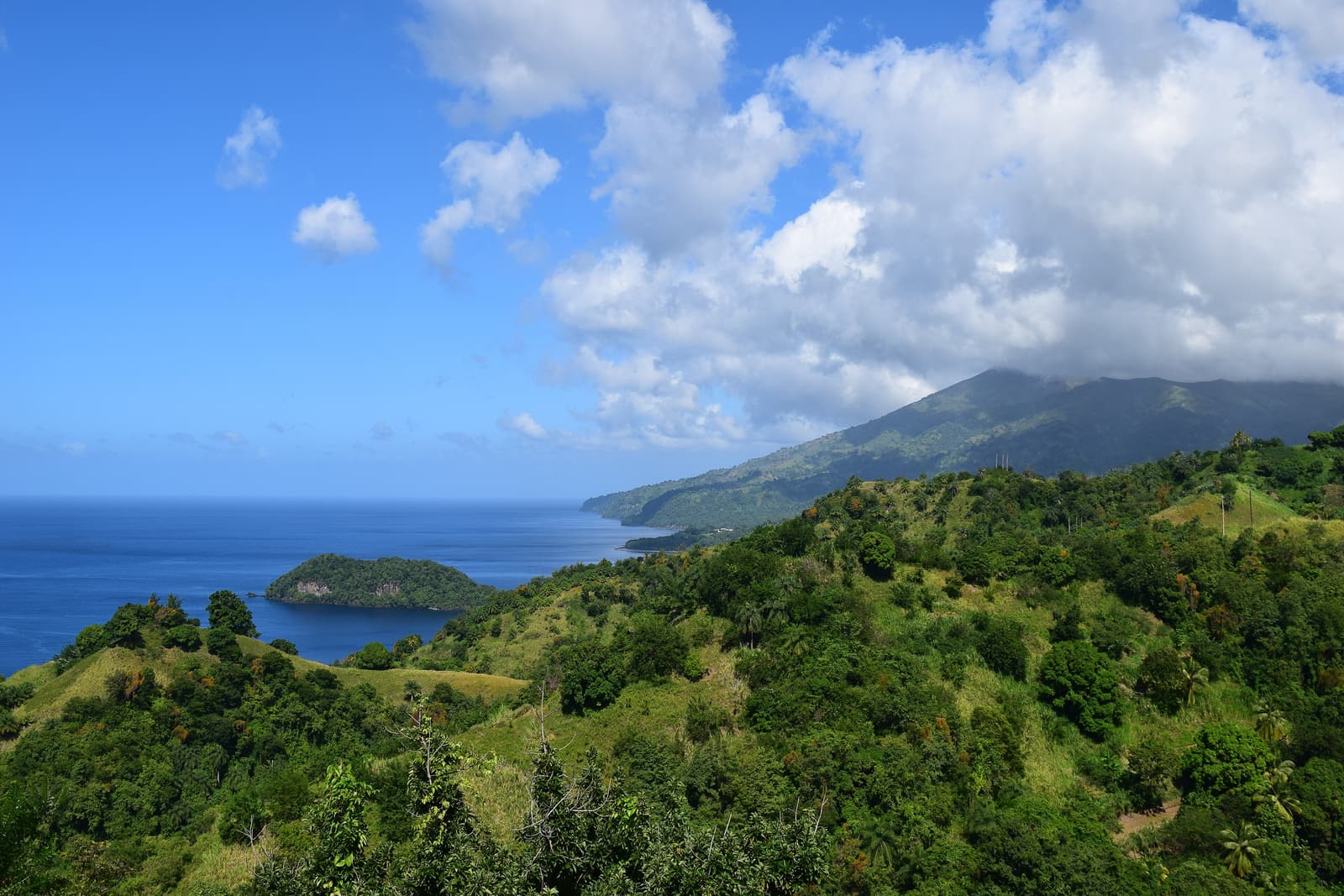 Collines verdoyantes au-dessus de la côte caraïbe de Saint-Vincent