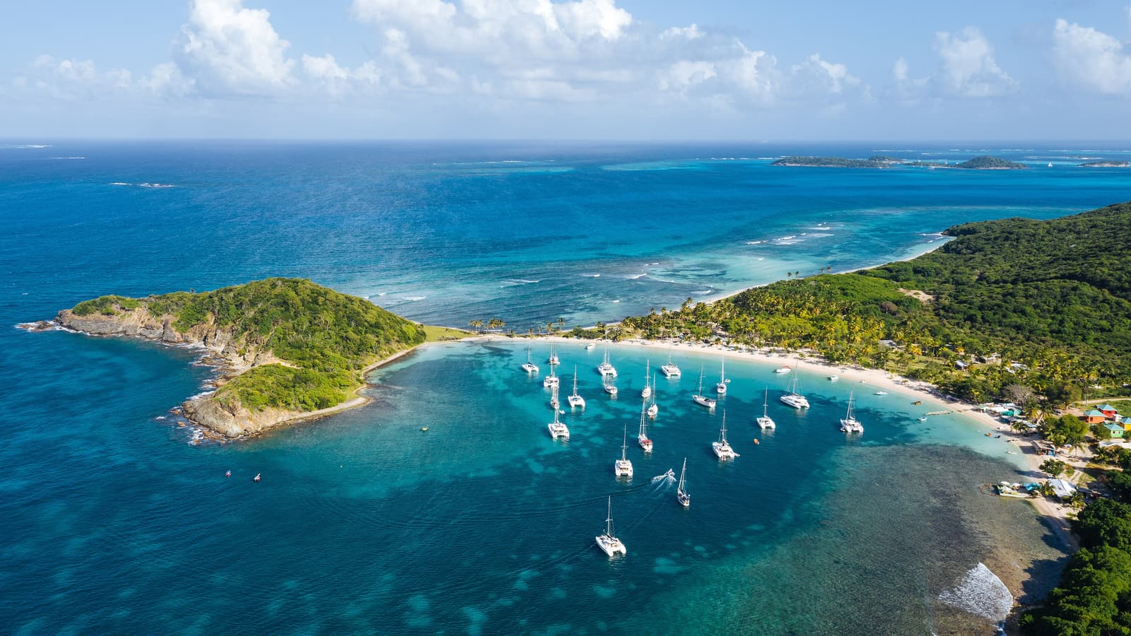Vista aérea de la media luna bordeada de palmeras de Salt Whistle Bay, en Mayreau